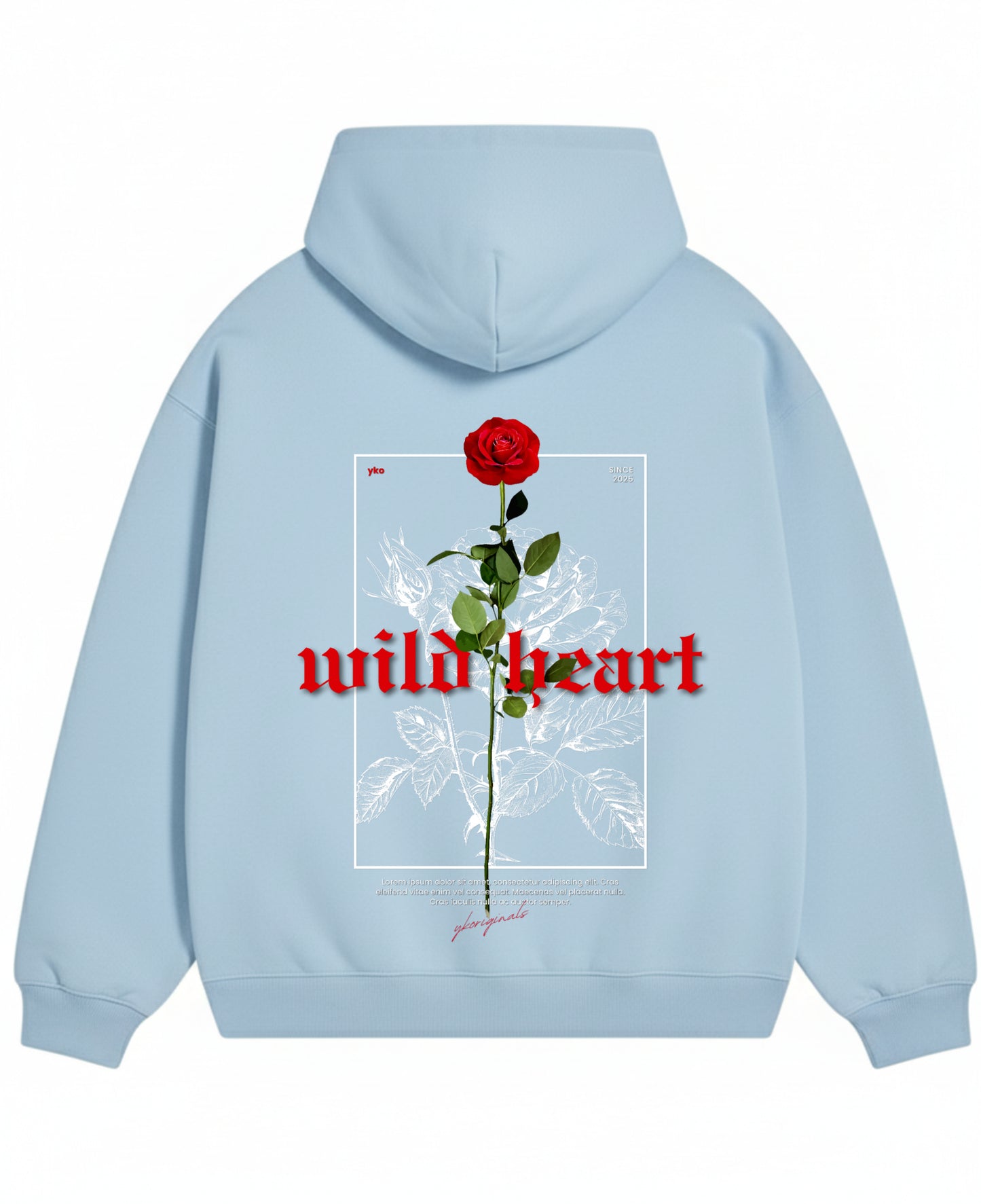Sky Blue Oversized Hoodie Back Design